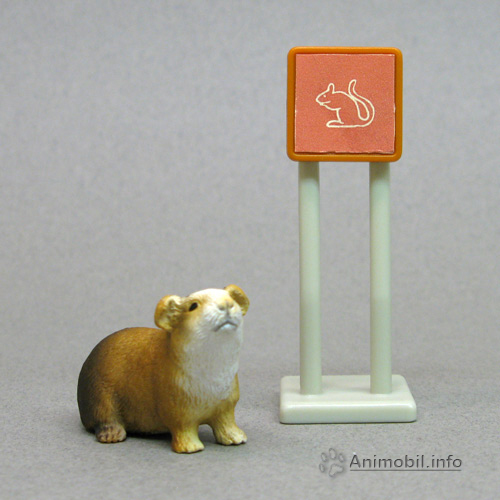 Guinea Pig 2