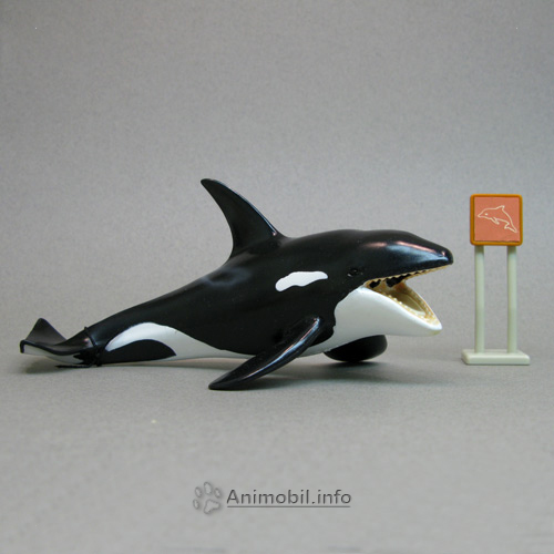 Orca 2