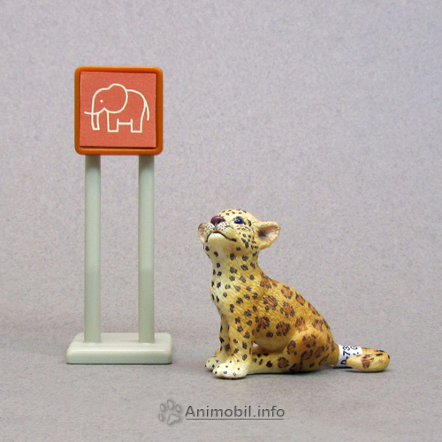 Jaguar Cub