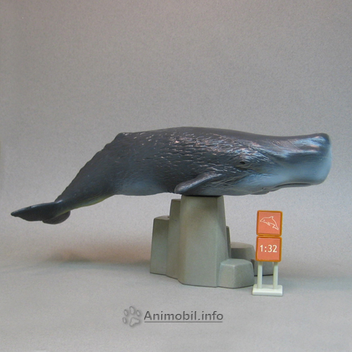 Sperm Whale
