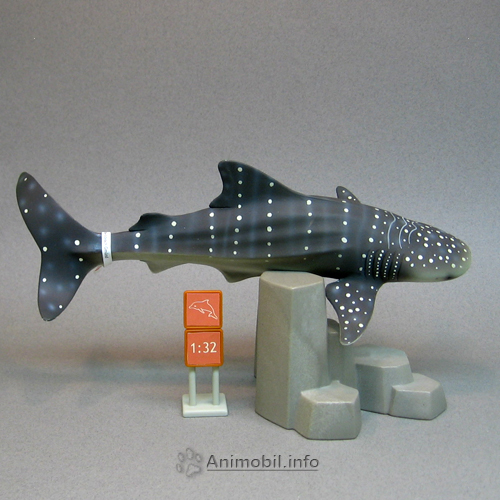 Whale Shark 2