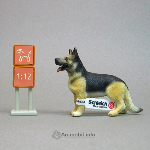 German Shepherd Standing 2