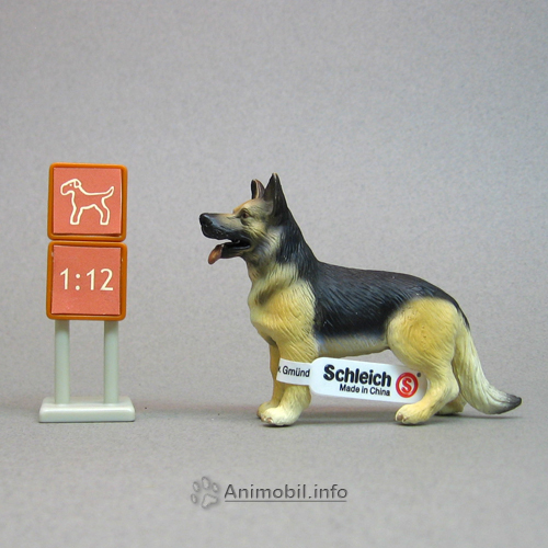 German Shepherd Standing 2