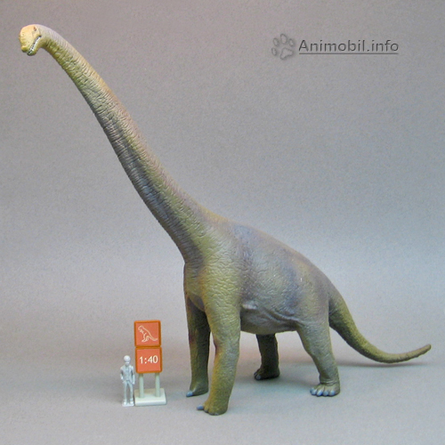 Brachiosaurus