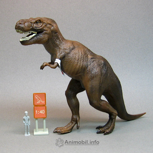 Tyrannosaurus Rex 4