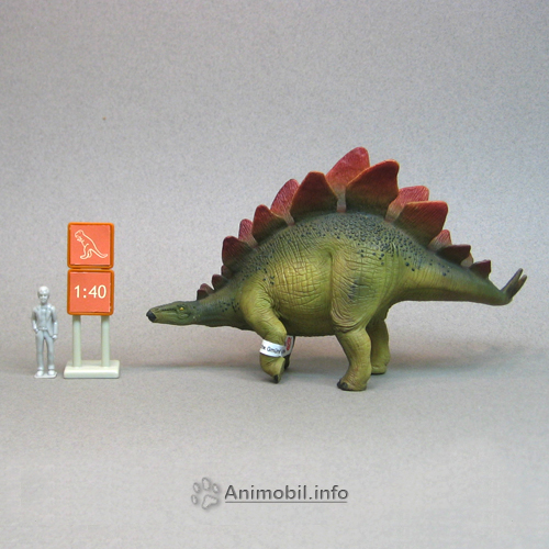 Stegosaurus 3