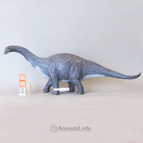 Apatosaurus 3