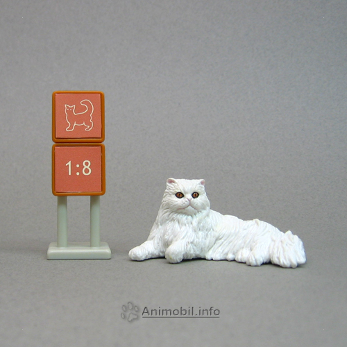 Persian Cat Laying