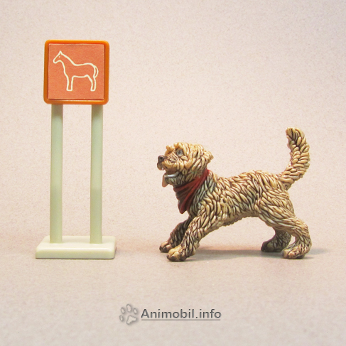 Mixed Breed Dog Playing