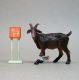 Brown Billy Goat