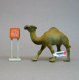 Dromedary