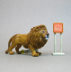 Lion 2