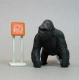Gorilla Male
