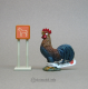 Rooster Colorful Crowing