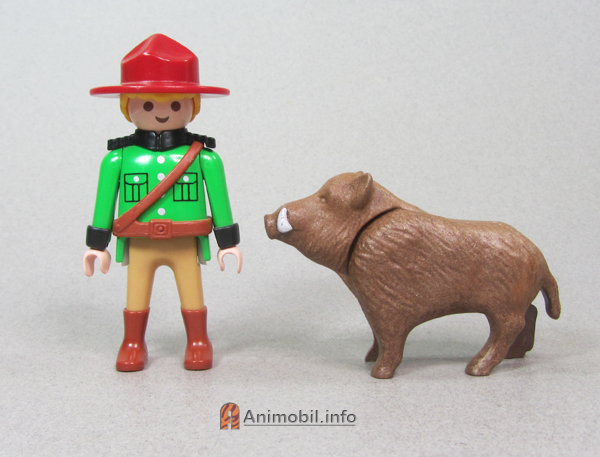 Pig Wild Boar Brown 2