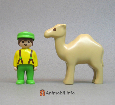 Camel 123