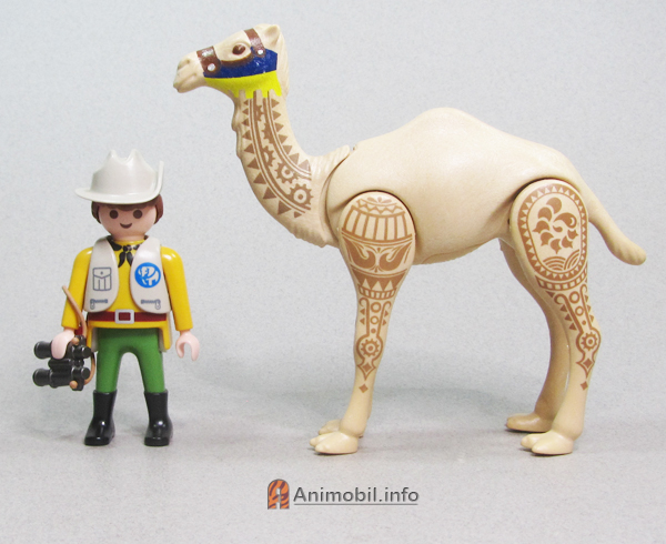 Camel Dromedary 4