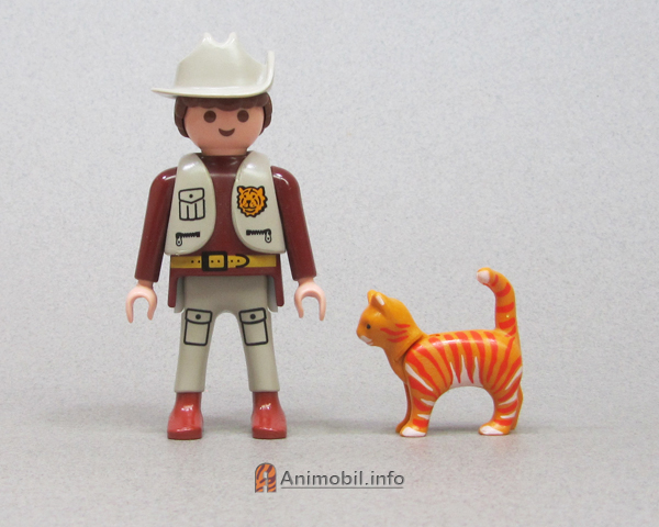 Cat Standing Orange Striped