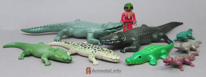 Alligators, Crocodiles and Caiman