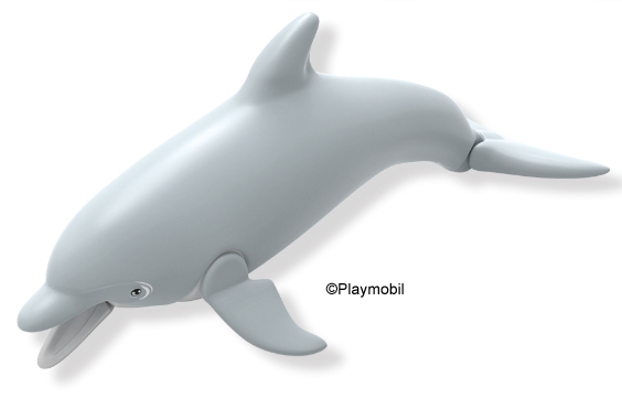 Dolphin Version 5
