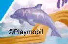 Dolphin Baby Purple