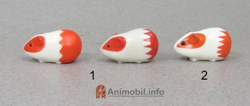 Guinea Pig Orange 2