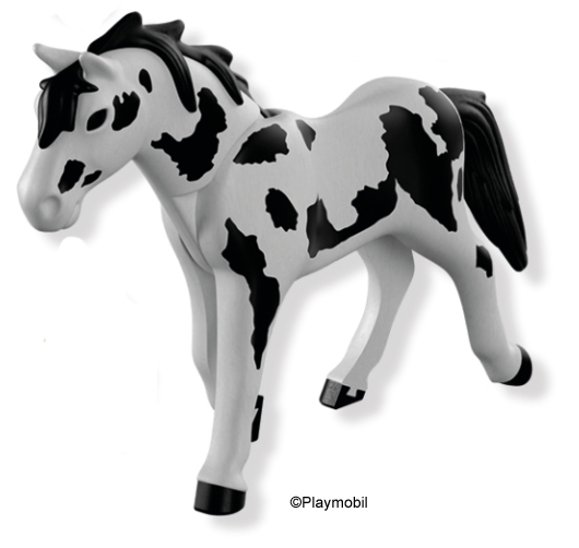 Haflinger Pinto 6