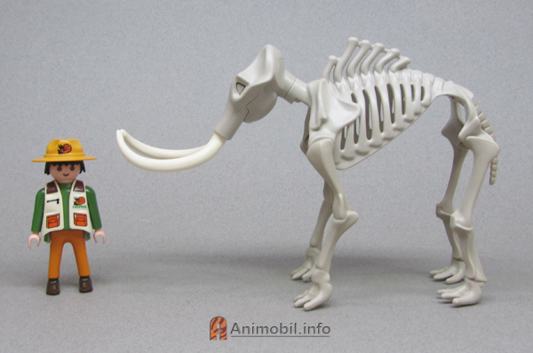 Mammoth Skeleton