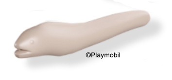Moray Eel Grey