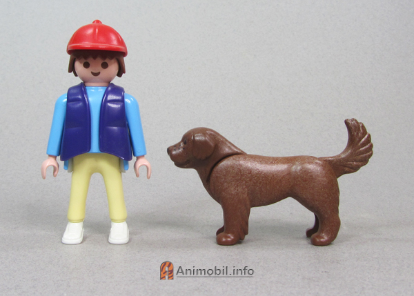 Newfoundland Brown 3