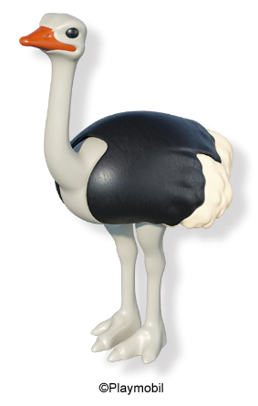 Ostrich Male 3
