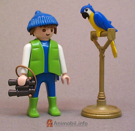 Parrot Blue Painted