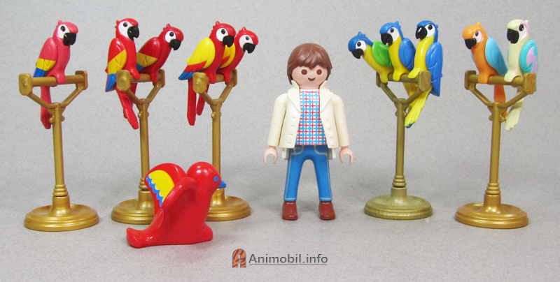 Parrots