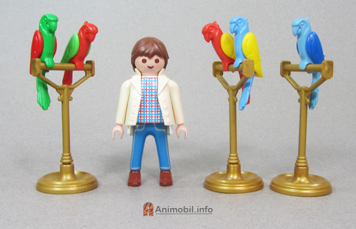 Parrots