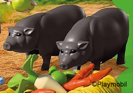 Potbellied Pig Grey 2