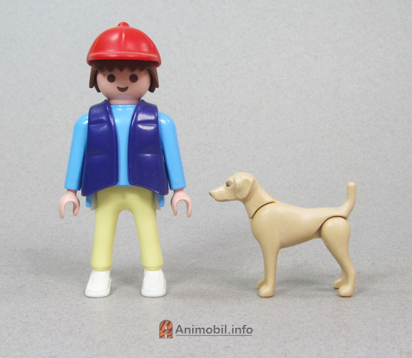 Poodle Tan with Dark Brown