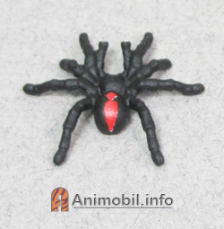 Redback Spider