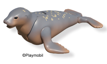 Sea Lion 2 Spotted 2