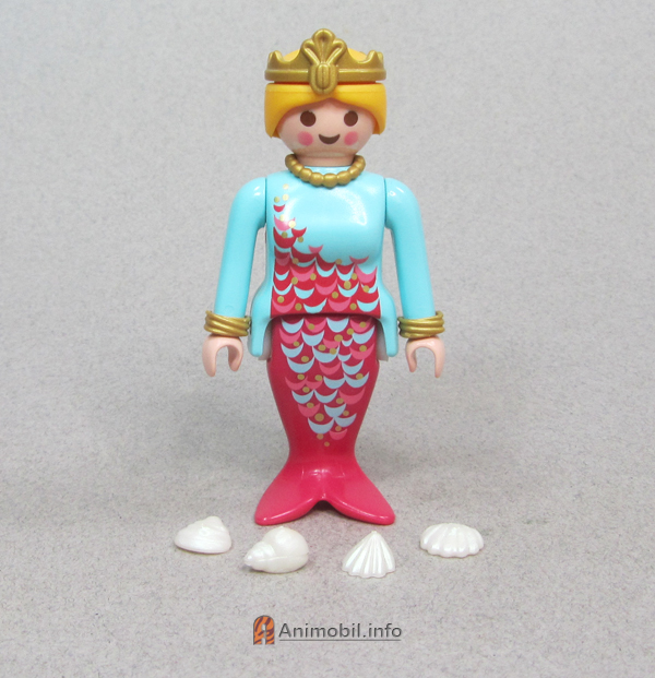 Seashells Set White 6