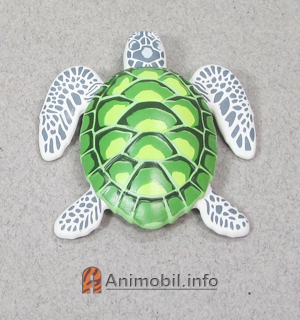Sea Turtle 2 White and Green