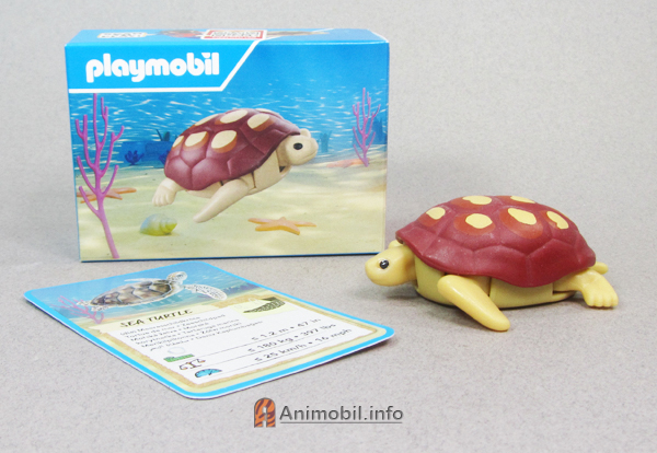 Sea Turtle McDonalds 2