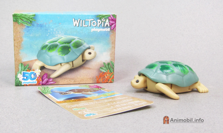 Sea Turtle 1 McDonalds