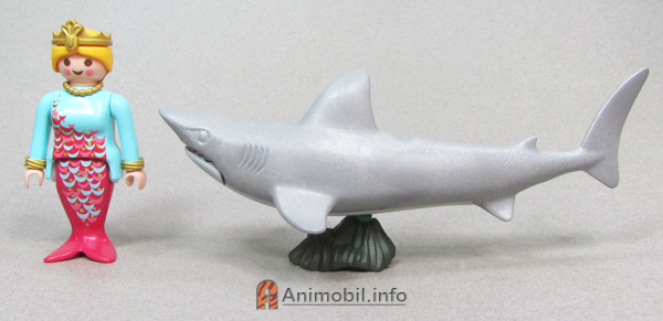 Shark 4