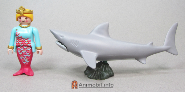 Shark 5