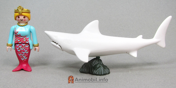 Shark White