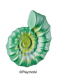 Ammonite Green 2