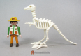 Albertosaurus Skeleton 3