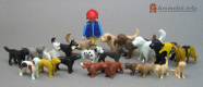 Domestic Dogs