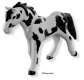 Haflinger Pinto 6