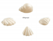 Seashells Set White 6